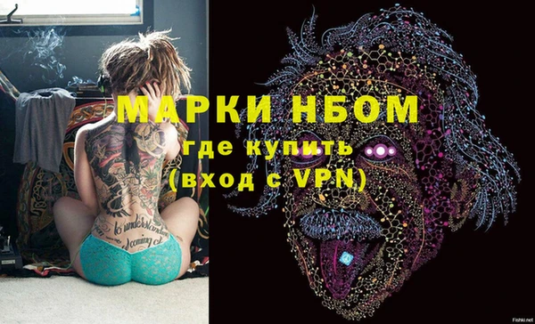 индика Белокуриха